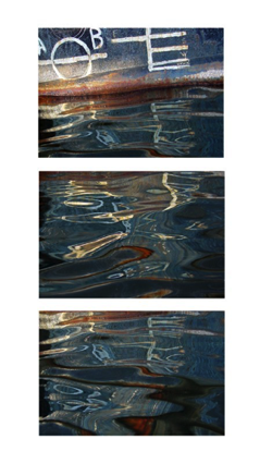 Sargasso Sea Triptych Sargasso Sea Triptych
